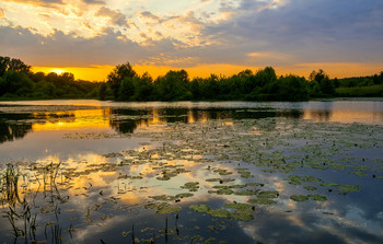 Sommerabend. / ***