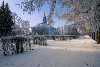 Winter / ***