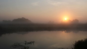 Nebel zerstreut / ***