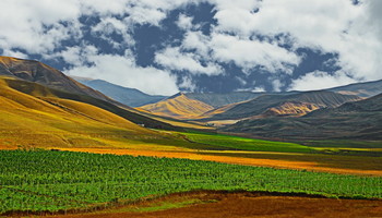 Sun Valley / ***