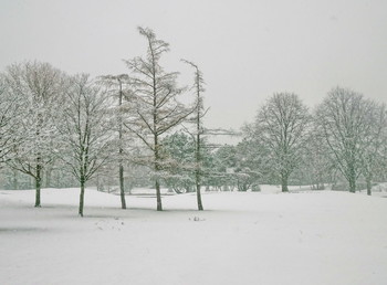 Winter / ***