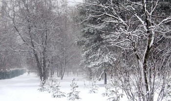 Wintertag / ***