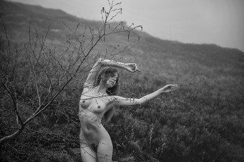 Untitled / ***