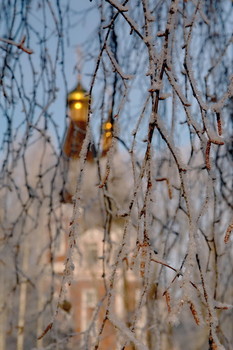 Winter-Spitze. / ***