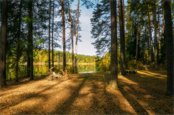 Morgen in den Wald / ***