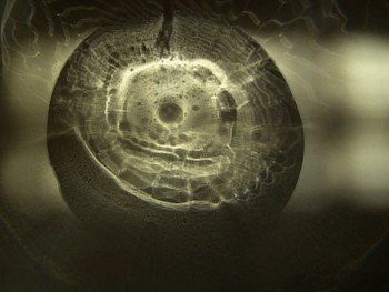 light mystics / light refractions through glass ashtray