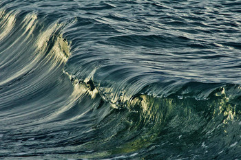 A Fine Line / ***