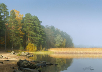 Nebel zerstreut / ***