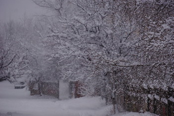 Schneesturm / ***