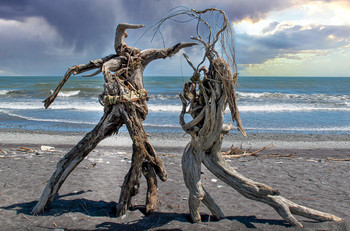 Drift Wood Dancing / Drift Wood Dancing