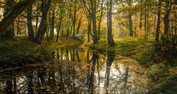 Herbstfarben / ***