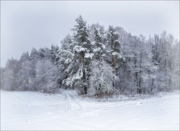 Winter / ***