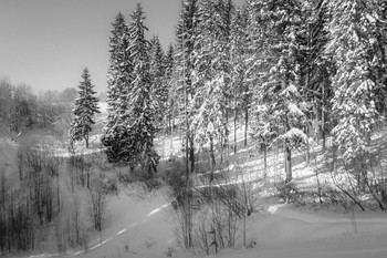 Februar / ***