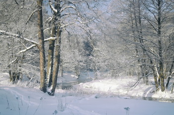 hate winter / ***