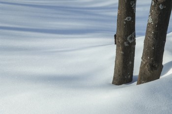 Februar / ***