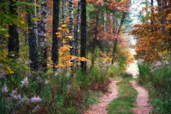 Herbststraße / ***