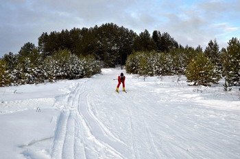 Skifahrer / ***
