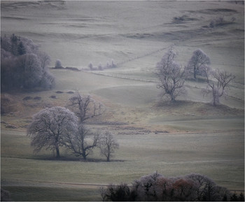 ...freeeeze... / ***
