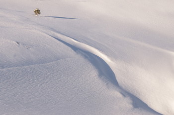 Februar / ***