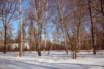 Februar ... / ...