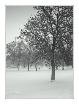 Winter-Etüde / ***