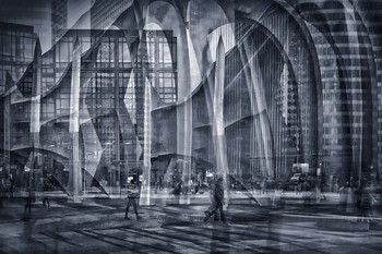 Urban Jungle / ***