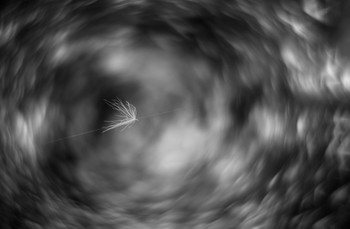 Besyskhodnost / ***