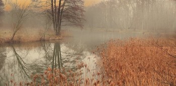 In Erinnerung an die Herbst / ***
