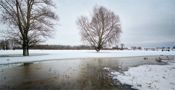 Tauwetter / ***