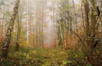Zärtlichkeit / ***