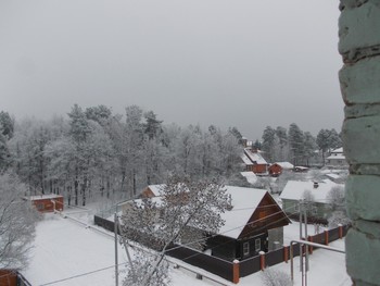 Blick aus dem Fenster / ***