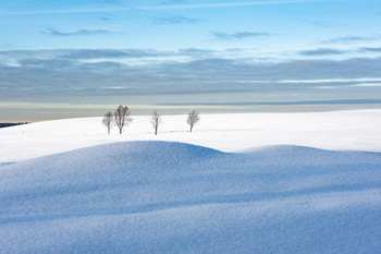Winterlandschaft / ***