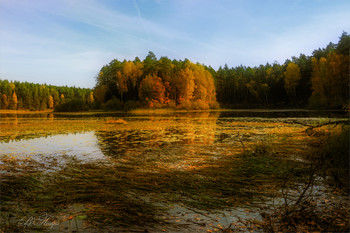 Goldener Herbst / ***