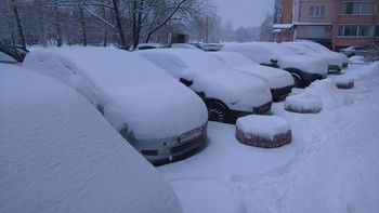 Morgen im Februar / ***