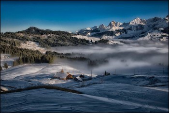 Bergleben / ***