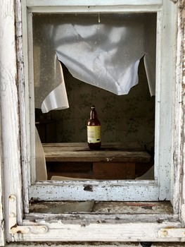 Leben nach dem Leben / ***