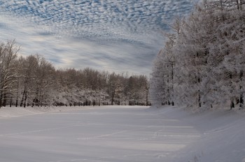 Frost und Sonne. / ***
