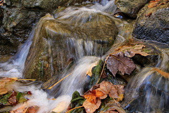 Autumn etude / ***