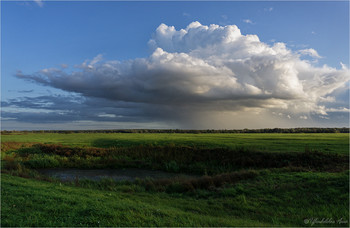 Wolke / ***