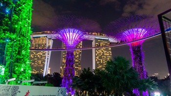 Gardens By the Bay / ***