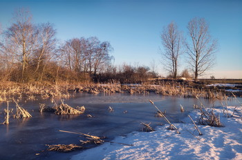 Frühlings-Teich / ***