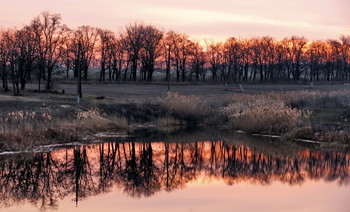 Spiegelung / ***