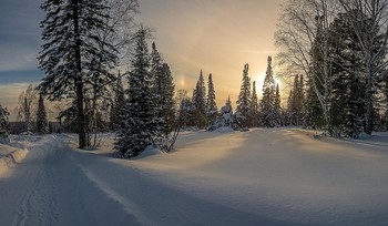 Sonnenuntergang im Winter / ***