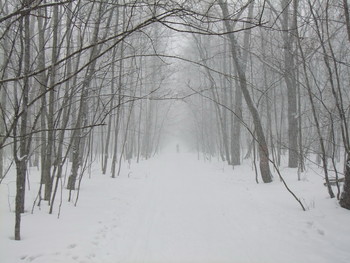 Schneesturm / ***
