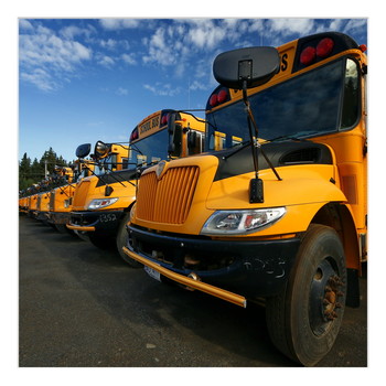 School buses dreaming old old school days. / School buses parked in their stow away parking lot during school free days.
Newfoundland, Canada