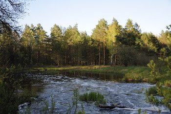 Forest River / ***