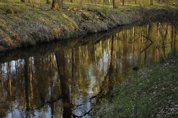 Spiegelung / ***