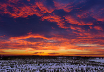 Red & Purple / Sunset
