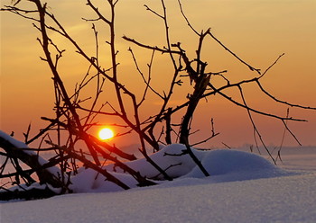 Frost / ***