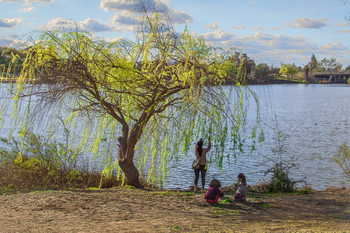 Auf dem See / .....